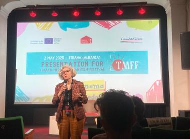 Film in Hospital in Italy: Rosa Ferro on presence, participation and working inside the hospital community